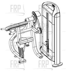 Biceps Curl - DSL204 - (BA61) - Product Image