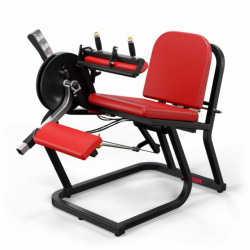 A250 Seated Leg Curl - 1221 - 