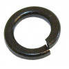 62023355 - Washer, Spring - Product Image