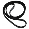 62010544 - Belt - Product Image