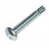 62010706 - bolt ST4.2*25* 8 - Product Image