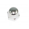 62007948 - Cap nut - Product Image