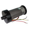 62007031 - Motor - Product Image