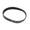 6079592 - MOTOR BELT - Product Image