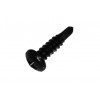 62014256 - Philips screw - Product Image