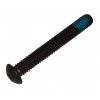 6002913 - Screw - Product Image