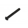 49000995 - SCREW, BH, M8X1.25PX55L-25L, HS, BZN, P-T - Product Image